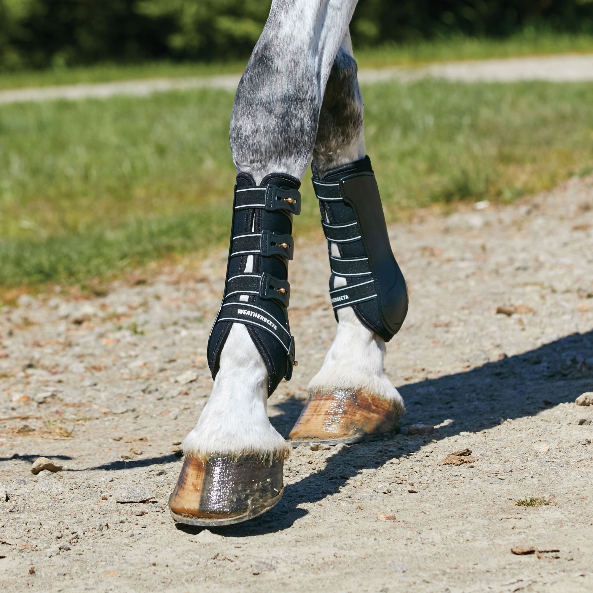 Weatherbeeta Hard Shell Dressage Boots 0082 - Black