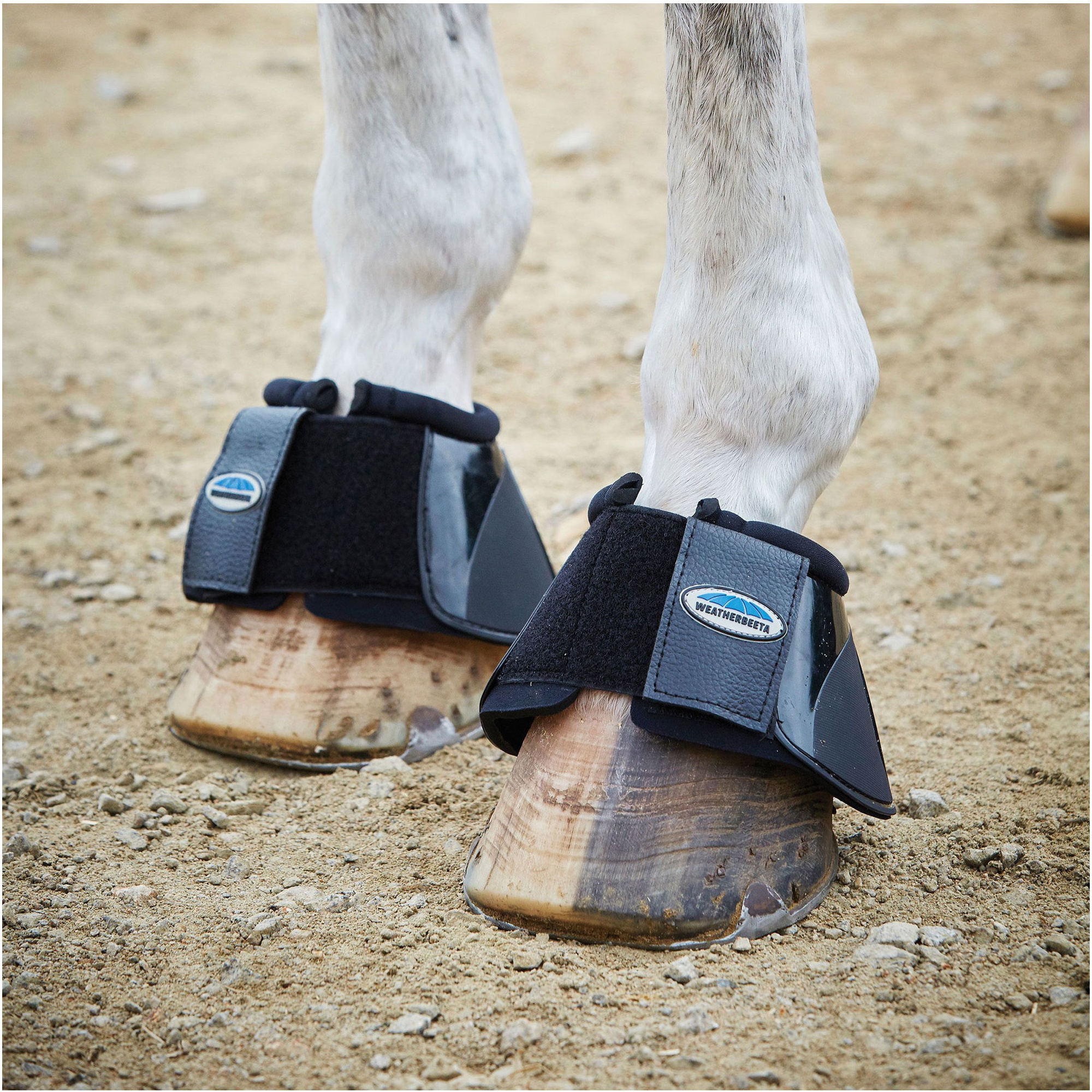 Weatherbeeta Schlagglockenstiefel 1000695 - Schwarz