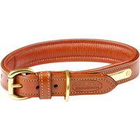 Hundehalsband Aus Gepolstertem Leder