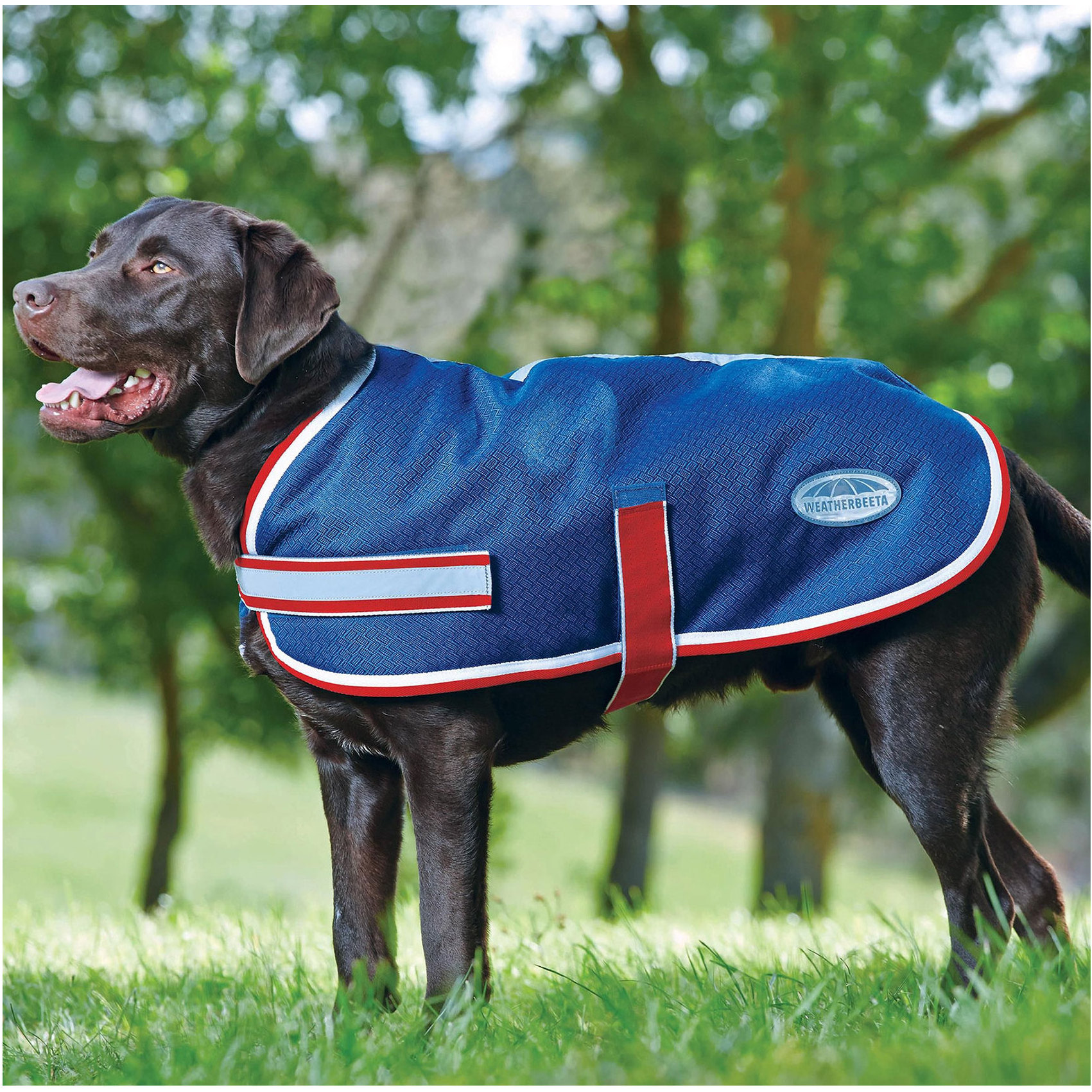 Weatherbeeta Parka 1200d Hundemantel Navy / Rot / Weiß