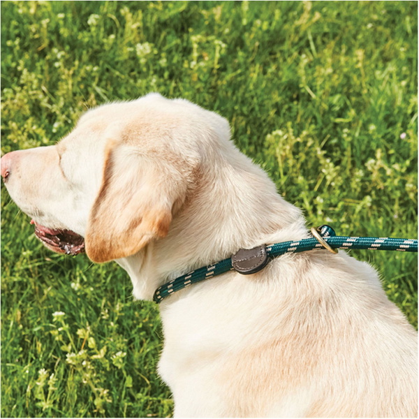 Weatherbeeta Touw Lederen Glijd Halsband Voor Hond 1001702 - Hunter Green