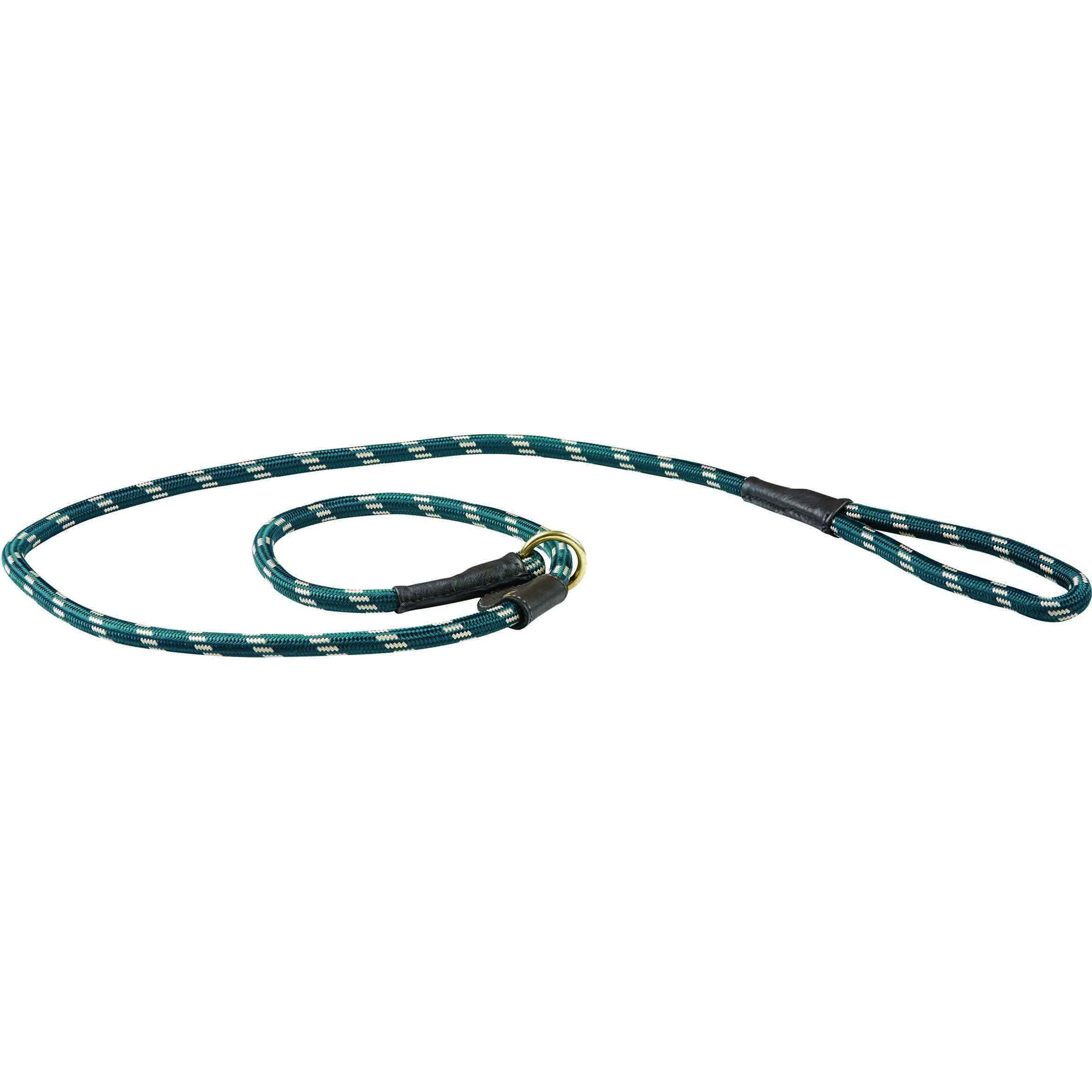 Weatherbeeta Leine Leder Slip Hund Leine 1001702 - Hunter Green