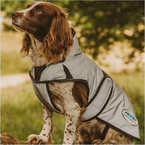 Weatherbeeta Comfitec Reflective Dog Coat - Silver