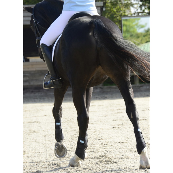 Equilibrium Stretch & Flex Flatwork Wraps EQB0548 - Black