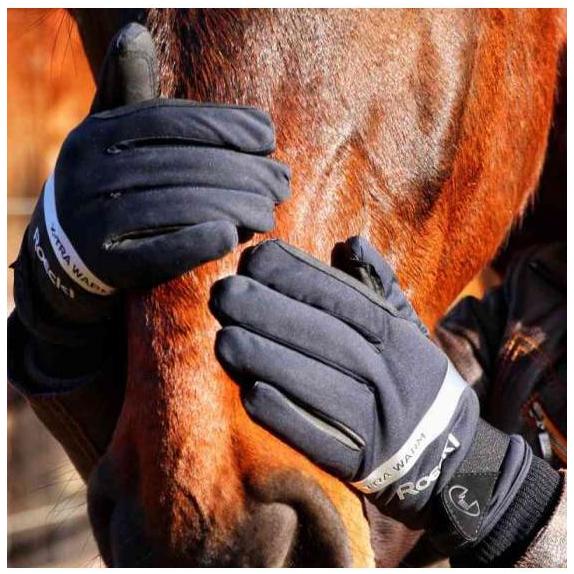 Roeckl Wynne Gloves 301590 - Black