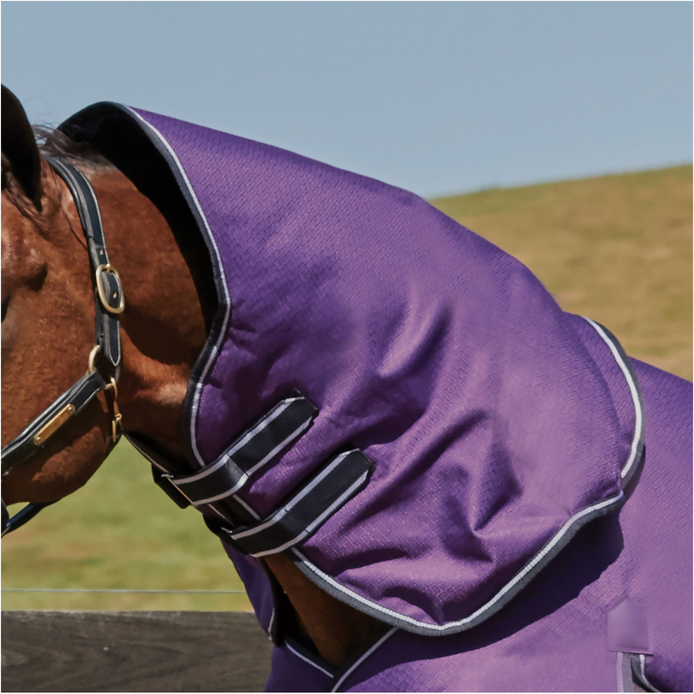 Weatherbeeta Comfitec Plus Dynamic DetachANeck Neck Lite Purple