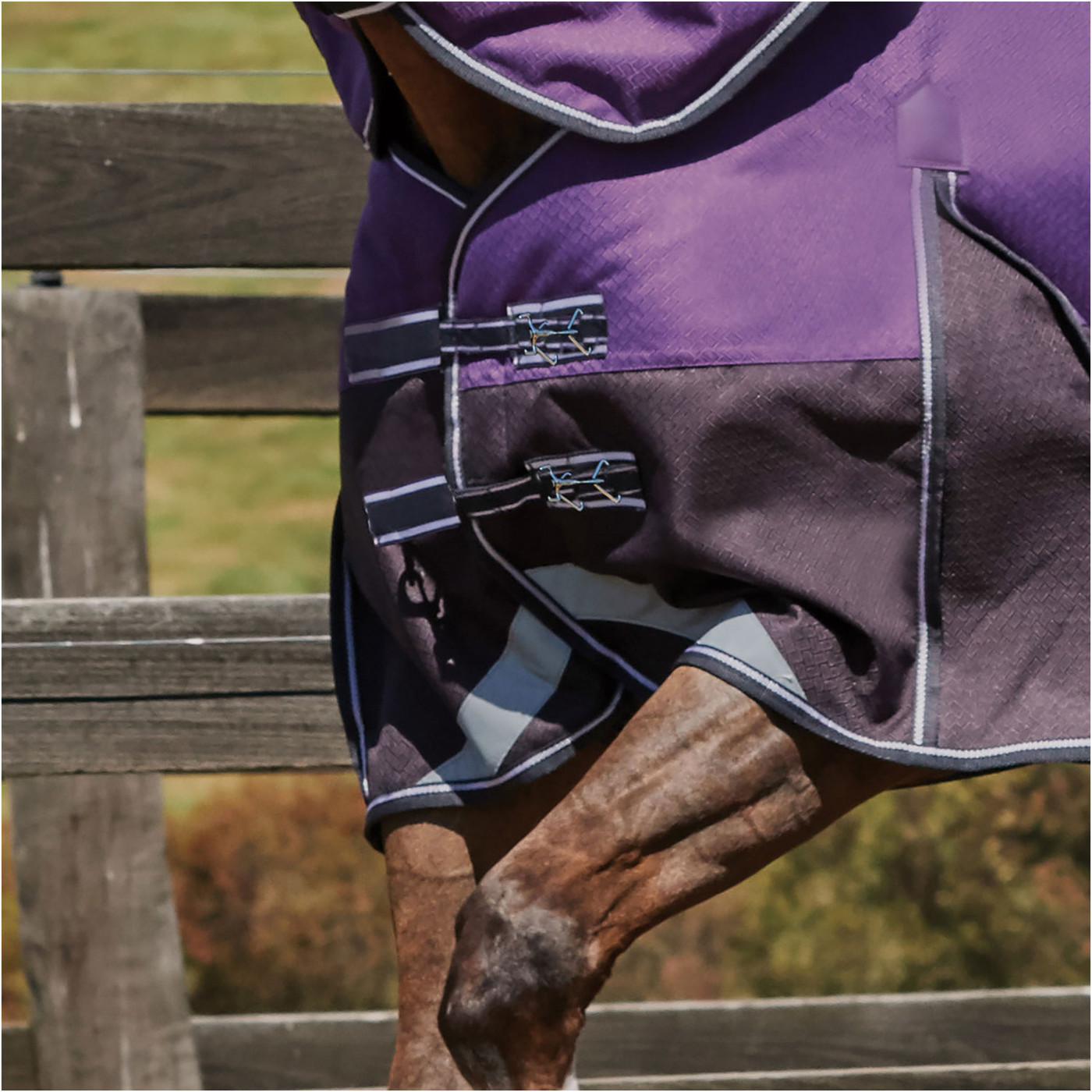 Weatherbeeta Comfitec Plus Dynamic DetachANeck Neck Lite Purple