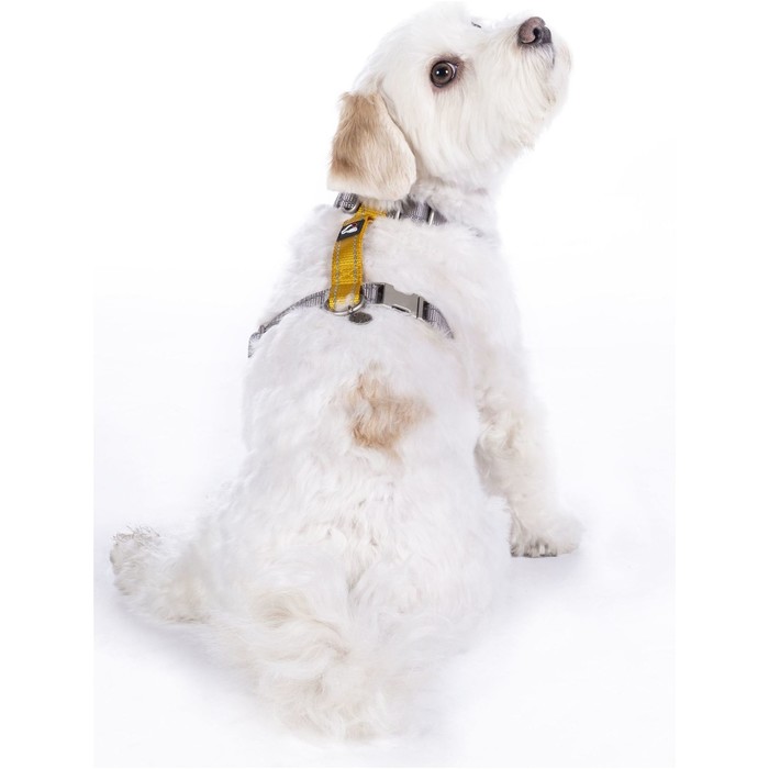 2022 HKM Nylon Dog Harness 13730 - Taupe / Yellow Gold