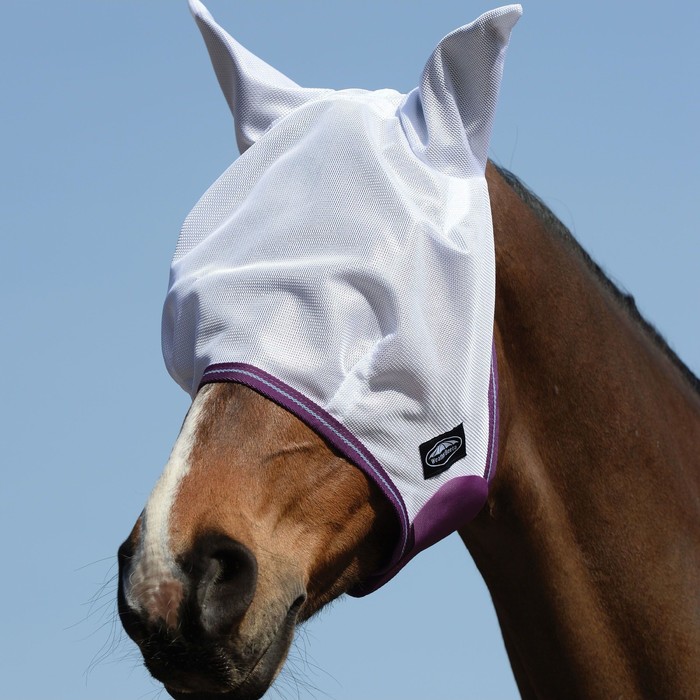 Encolure Amovible Cheval Weatherbeeta - Violette - Taille WB (Neuf Avec Défaut)