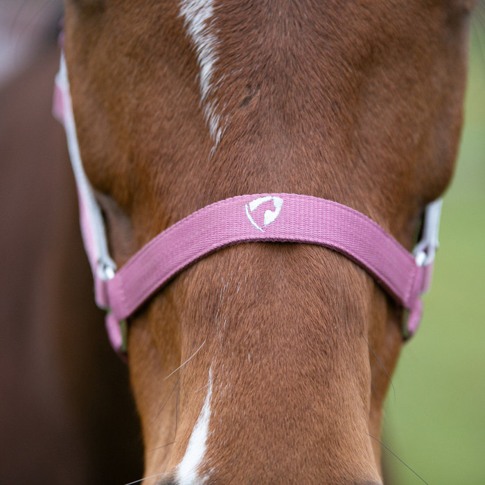 2022 Hy Equestrian Synergy Head Collar & Lead Rope 34499 - Grape / Silver