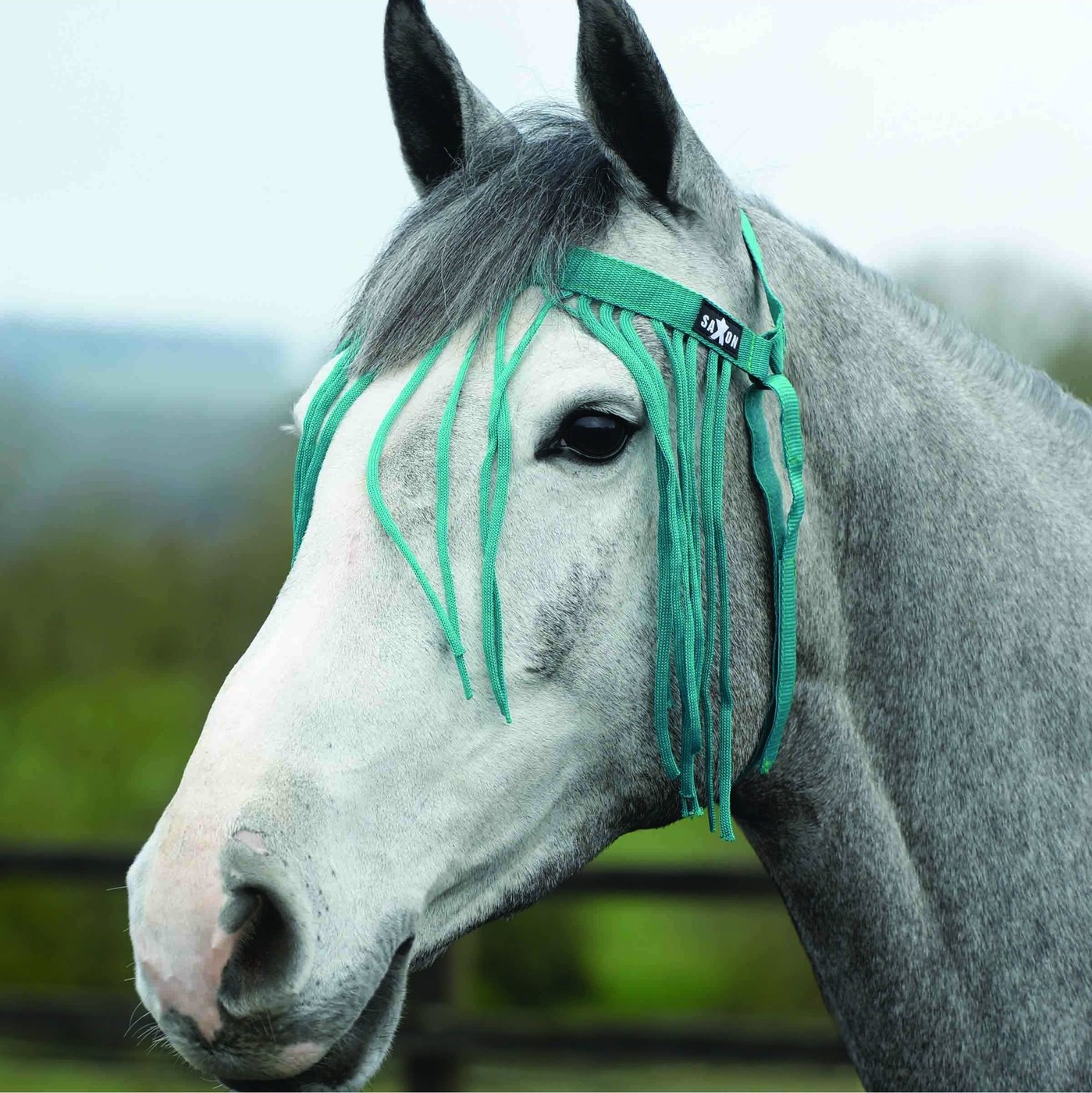2022 Saxon Fly Fringe 819121 Green Horse Fly Rugs & Sheets Fly