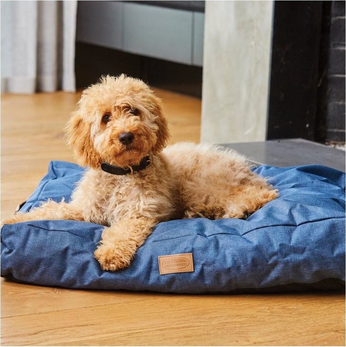 2022 Weatherbeeta Small Pillow Dog Bed 1001709001 - Denim