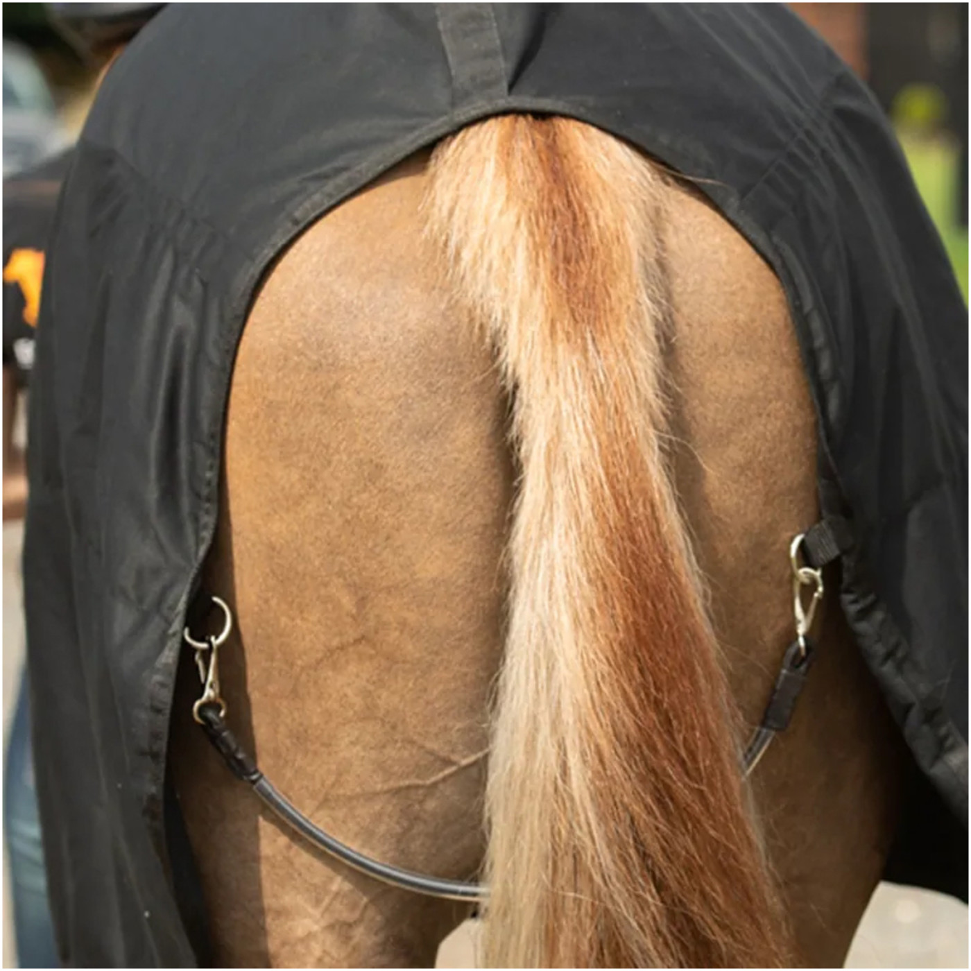 Equilibrium Rug with Neck Black EQMRB Horse Horse Rugs