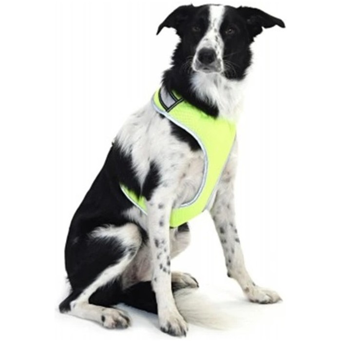 2022 Equisafety LED Flashing Hi-Vis Reflective Dog Harness DOGH - Yellow