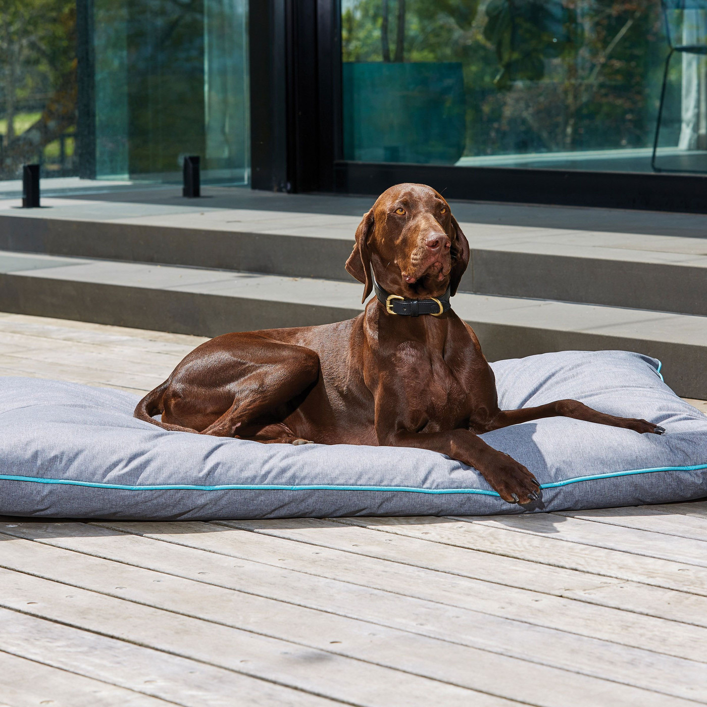 Weatherbeeta Waterproof Pillow Dog Bed Grey 1001707 Dogs The