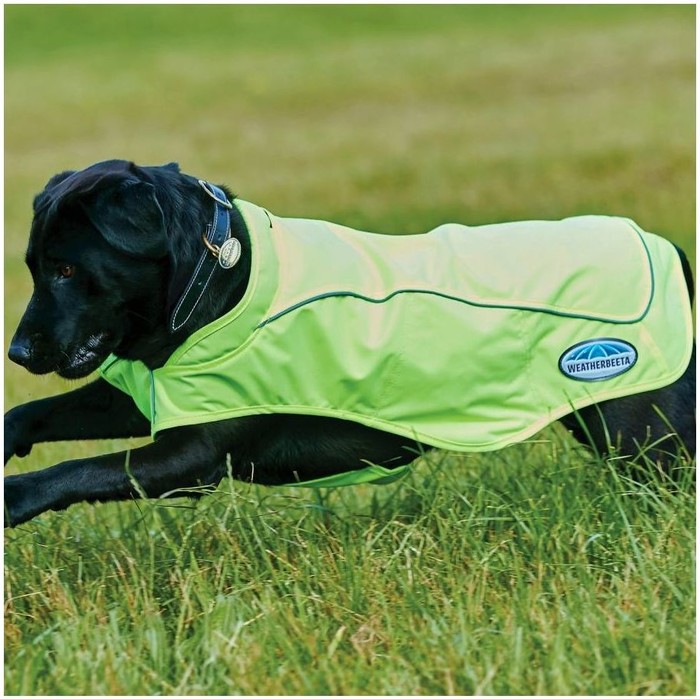 WeatherBeeta Reflective Exercise Dog Coat Yellow