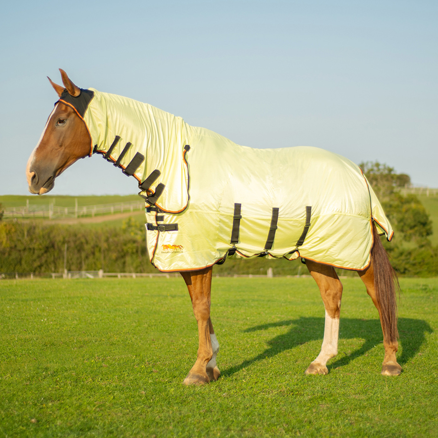 2022 Equilibrium Field Relief Fly Rug 21929 Yellow Horse Fly Rugs