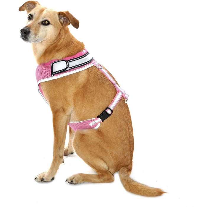 2022 Equisafety LED Flashing Hi-Vis Reflective Dog Harness DOGH - Pink