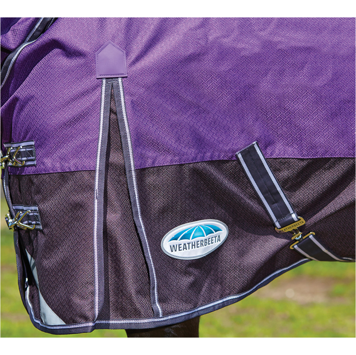 Weatherbeeta Comfitec Plus DYNAMIC Standard Neck MEDIUM Lite Purple