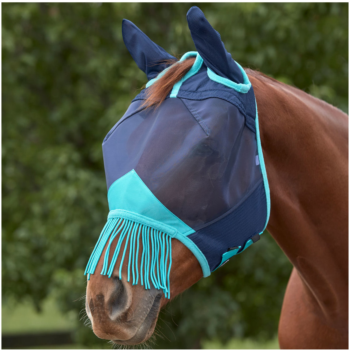 Weatherbeeta Comfitec Deluxe Feines Mesh Maske Mit Ohren Und Quasten 1009577012 - Navy Turquoise