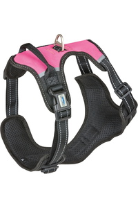 Weatherbeeta Anti Ziehen / Reisen Geschirr 1003617 - Pink