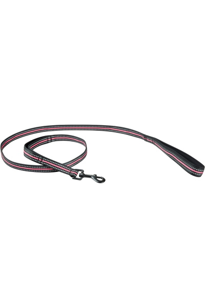 WeatherBeeta Reflective Dog Lead