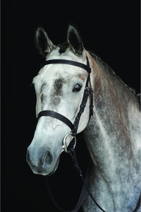Collegiate Jagd Cavesson Zaumzeug 8008 - Black