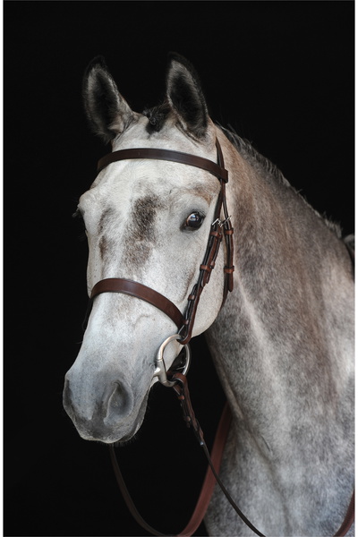 Collegiate Hunt Cavesson Bridle IV 00