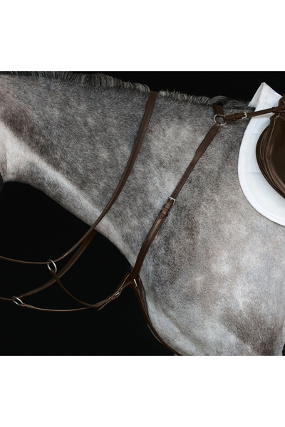 Collegiate Hunter Breast Plate IV