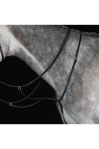 Collegiate Running Martingale IV