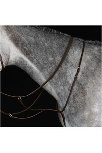Collegiate Running Martingale IV 800902 - Brown