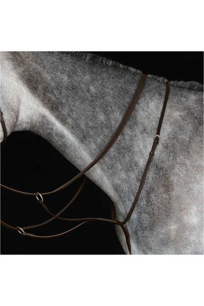 Collegiate Running Martingale IV