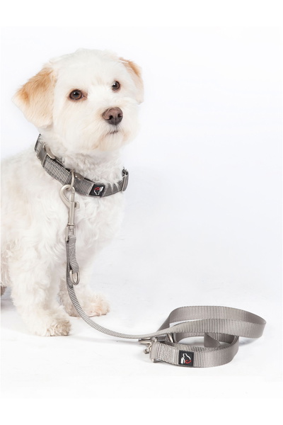 HKM Dog Training Leash