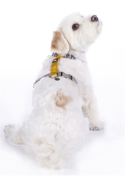 HKM Nylon Dog Harness