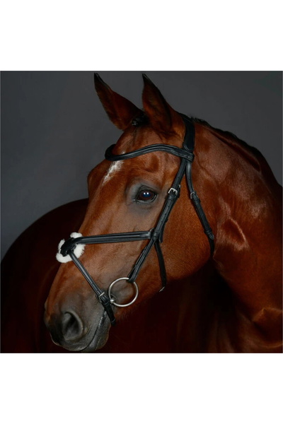 Collegiate Comfitec Opulux Plain Padded Grackle Bridle