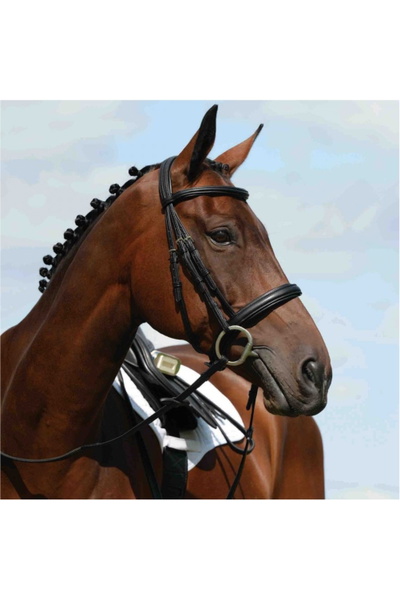Collegiate Syntovia+ Padded Raised Cavesson Bridle