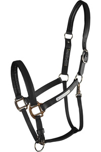 Equilibrium Neu Hervorragend Halfter EQB1673 - Black