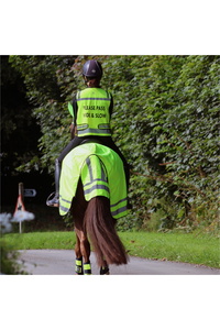 Woof Wear Winter Hi Vis Exercise Sheet WS0033 - Hi Viz Yellow