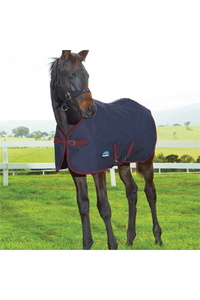 2025 Weatherbeeta 1200D Foal Standard Neck 220G 1028799 - Navy