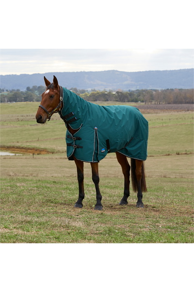 WeatherBeeta Comfitec Klassieke Turnout Combo