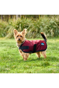 2025 Weatherbeeta Comfitec Classic Waterproof Dog Coat 1029048 - Burgundy