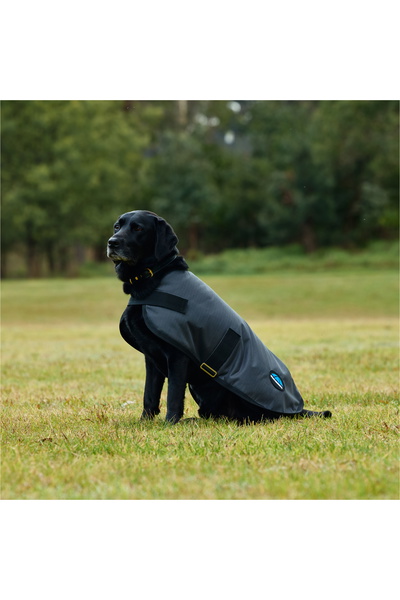 WeatherBeeta Comfitec Classic Waterproof Dog Coat