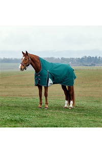 2025 Weatherbeeta Comfitec Plus Dynamic Turnout High Neck 1029006 - Forest Green
