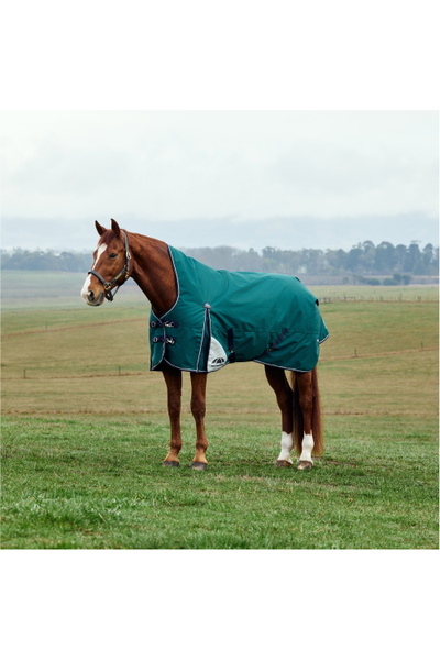 WeatherBeeta Comfitec Plus Dinámico De Salida Alta Cuello