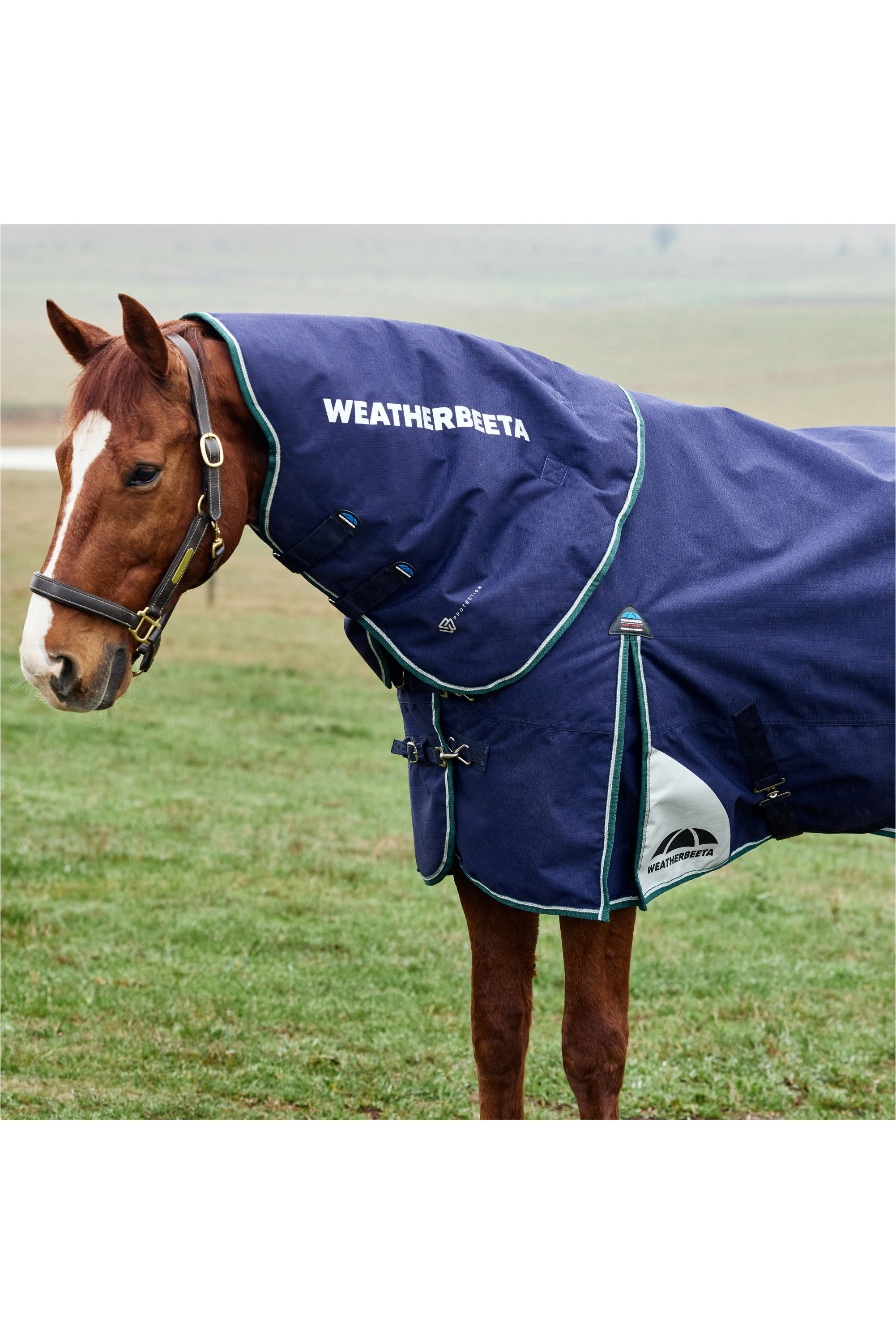 Couverture Cheval Weatherbeeta ComFiTec Plus Dynamic II 0g Avec Col Détachable – Bordeaux, Neuve