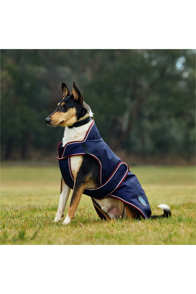 WeatherBeeta Comfitec Premier Deluxe Waterproof Dog Coat