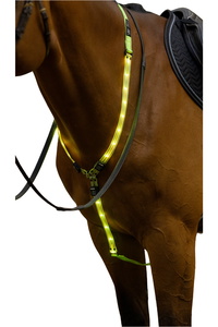 2025 Woof Wear LED Neck Band WS0035 - Hi Viz