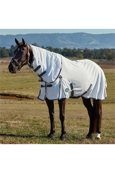 WeatherBeeta Hybrid Combo Datenblatt