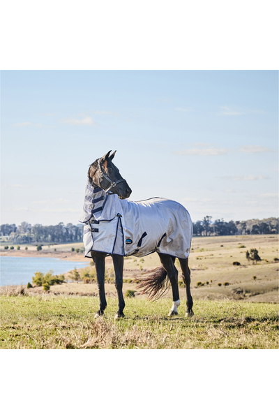 WeatherBeeta Comfitec Hexi Schild Fliegen Blatt Combo