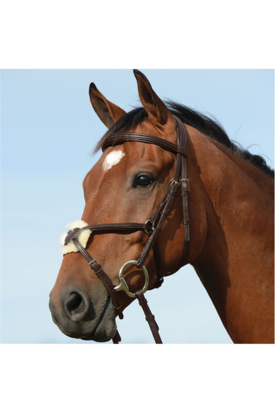 Collegiate Syntovia+ Padded Raised Figure 8 Bridle